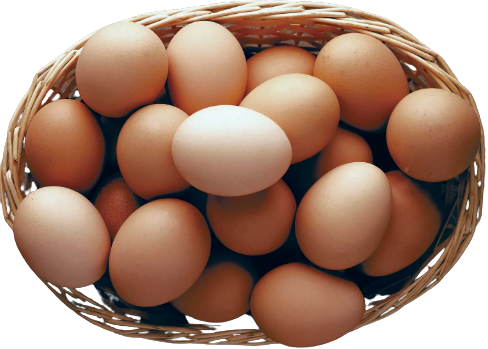 Eggs